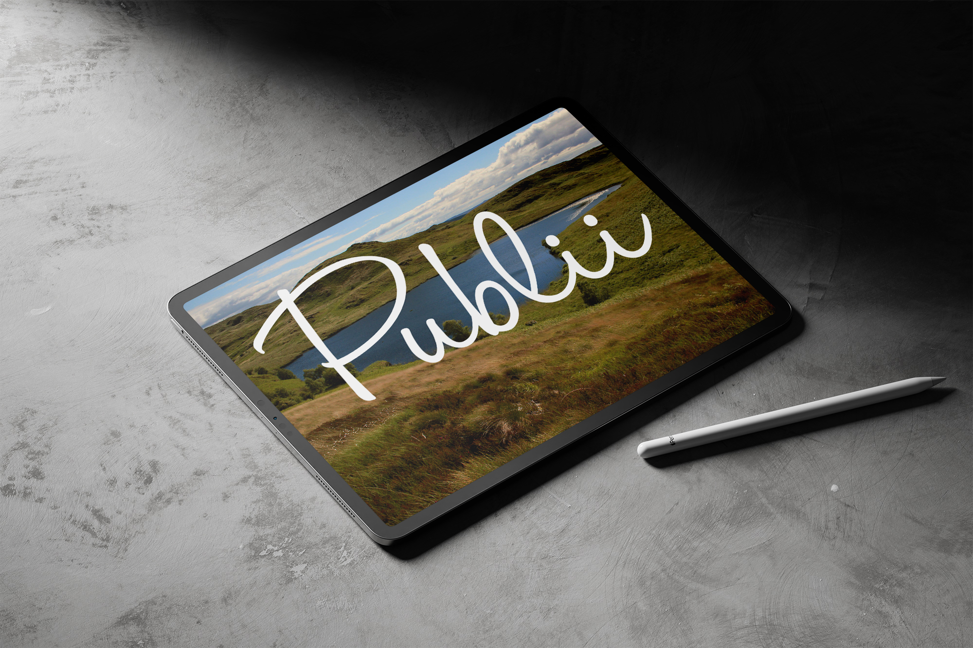 Publii vs WordPress - Bute Digital